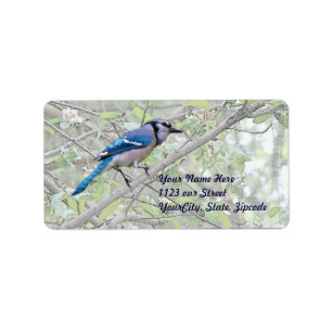 Blue Jay Songbird Label