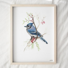 Blue Jay Songbird Watercolor Art Print