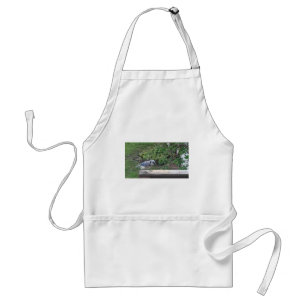 Blue Jay Standard Apron