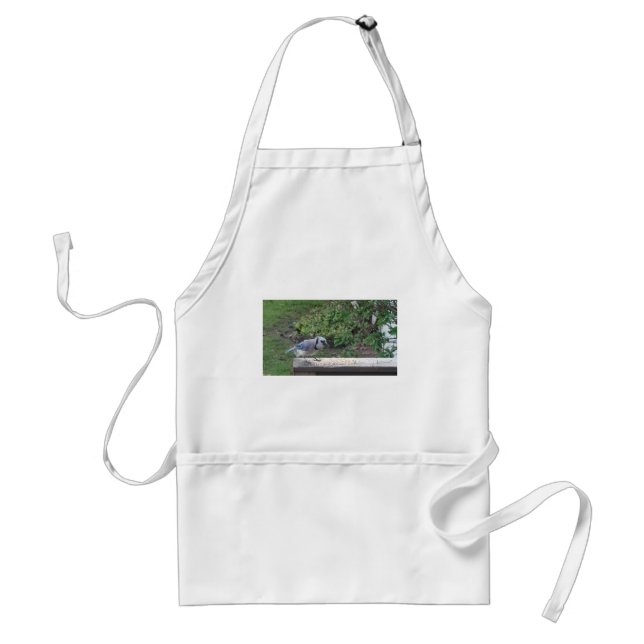Blue Jay Standard Apron (Front)