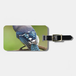 Blue Jay thinking of you friend family mom dad Luggage Tag