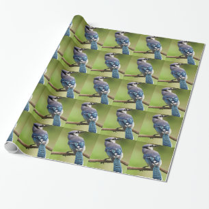Blue Jay thinking of you friend family mom dad Wrapping Paper
