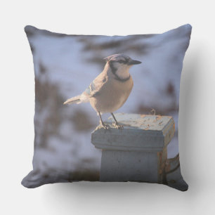 Blue Jay Throw Pillow