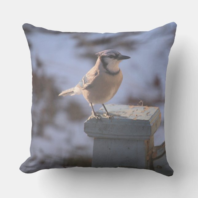 Blue Jay Throw Pillow (Front)