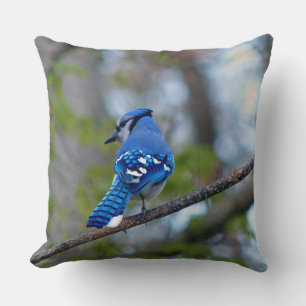 Blue Jay Throw Pillow