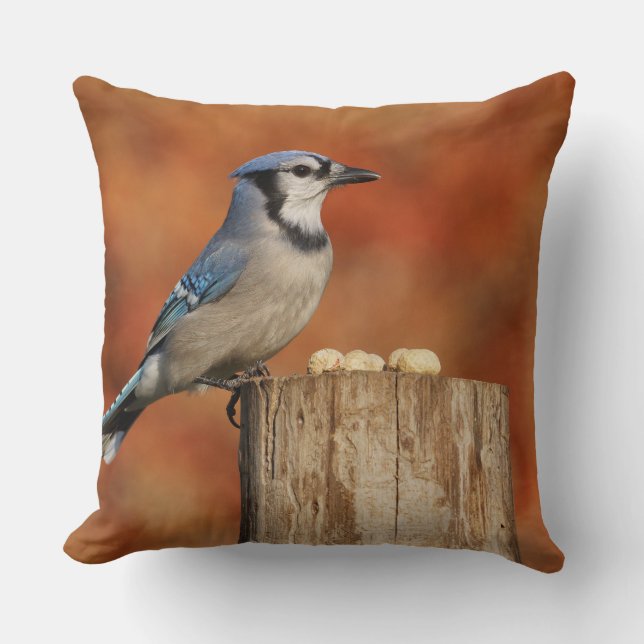Blue Jay Throw Pillow (Front)