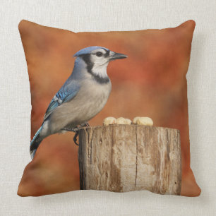 Blue Jay Throw Pillow