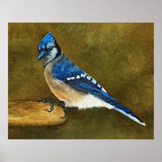 Blue Jay watercolor Print (Front)