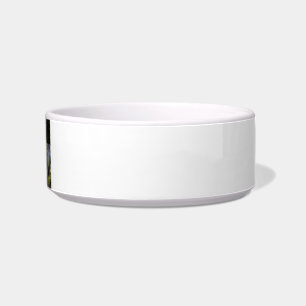 Blue Jay Way Cat Bowl