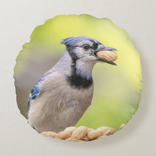 Blue jay with a peanut round pillow