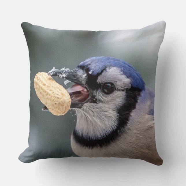 Blue jay with a peanut throw pillow (Front)