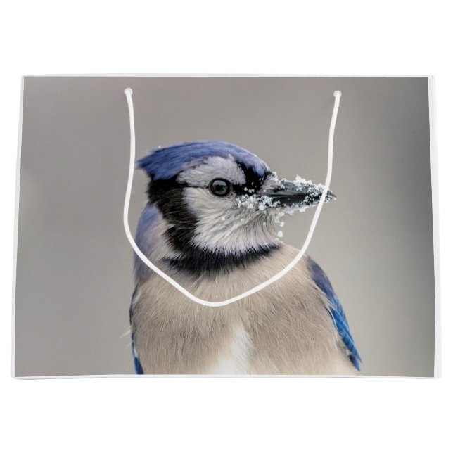 Blue jay with snow on his beak large gift bag (Front)