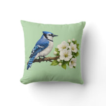 Blue Jay with White Blossoms