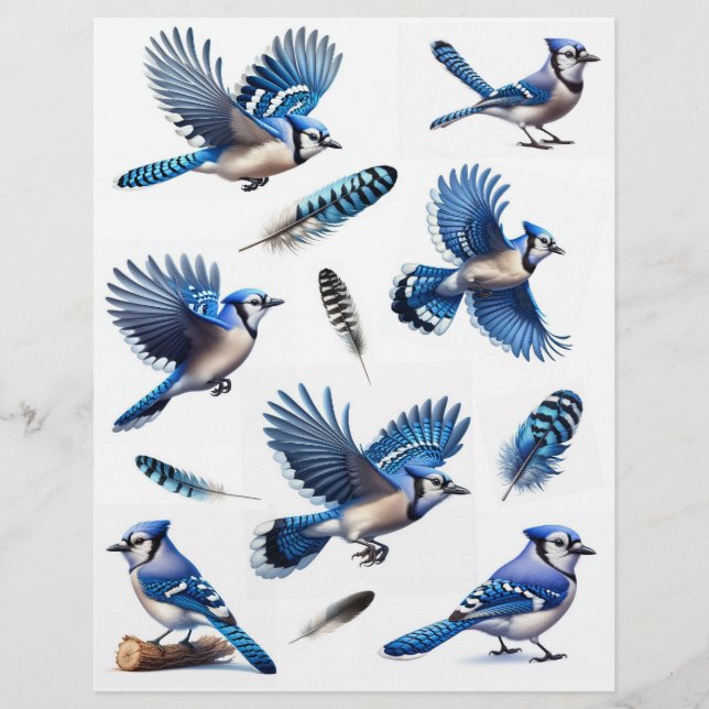 Blue Jays and Feathers Fussy Cuts (Front)