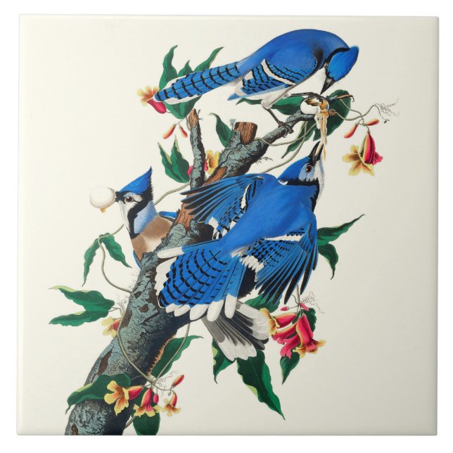Blue Jays Ceramic Tile (Front)