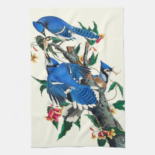 Blue Jays  Kitchen Towel (Vertical)