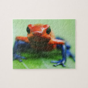 Blue Jean Frog Jigsaw Puzzle