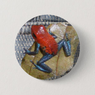 Blue Jeans Frog Button