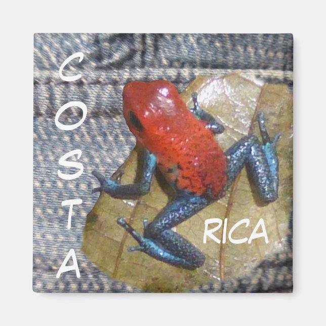 Blue Jeans Frog Customizable Magnet (Front)