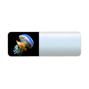 Blue Jellyfish