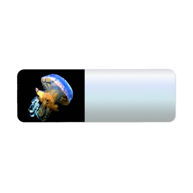 Blue Jellyfish (Front)