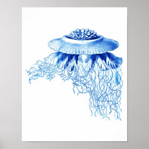 Blue Jellyfish Art Print No.5 Nautical Wall Decor