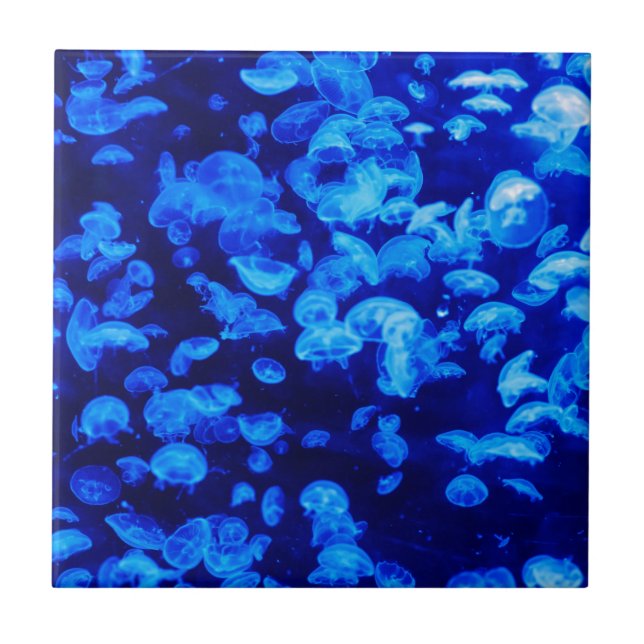 Blue Jellyfish Tile (Front)