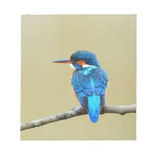 Blue Kingfisher Bird Notepad