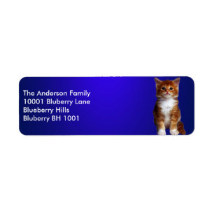 Blue Label Return Address Ginger Cat