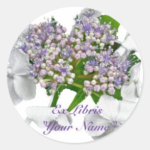 Blue Lace Hydrangea Coordinating Items Classic Round Sticker