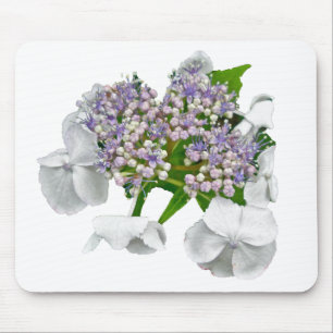 Blue Lace Hydrangea Coordinating Items Mouse Pad