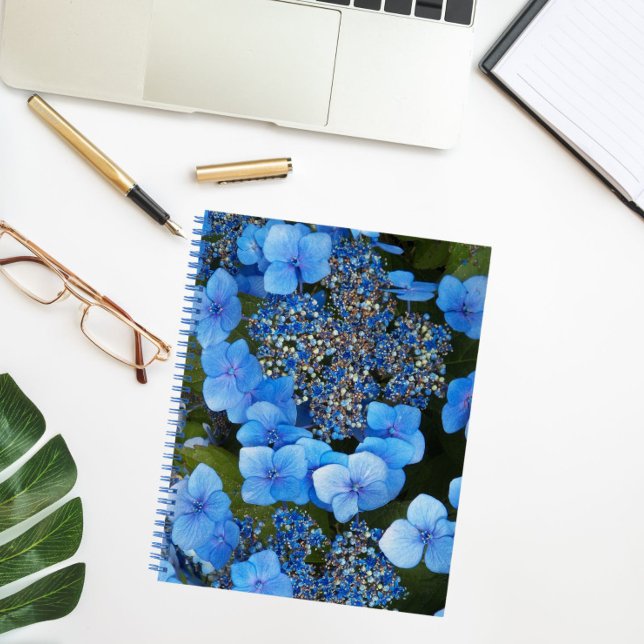 Blue Lacecap Hydrangea Floral Notebook (In Situ)