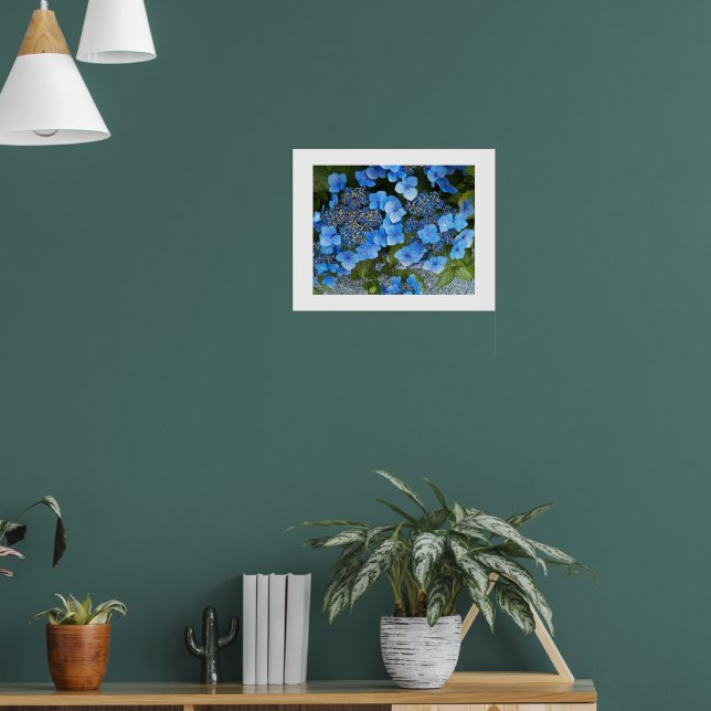 Blue Lacecap Hydrangea Floral Photographic Poster (Living Room 1)