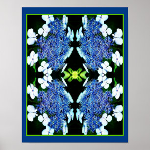 Blue Lacecap Hydrangea Flower Close Up Abstract  Poster