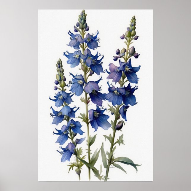 Blue Larkspur Flower Art Print Poster (Front)
