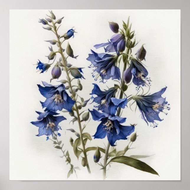 Blue Larkspur Flower Art Print Poster (Front)