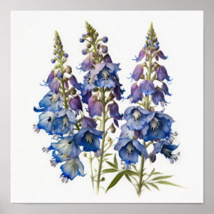Blue Larkspur Flower Art Print Poster