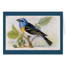 Blue Lazuli Bund'oiseaux Carte de remerciements