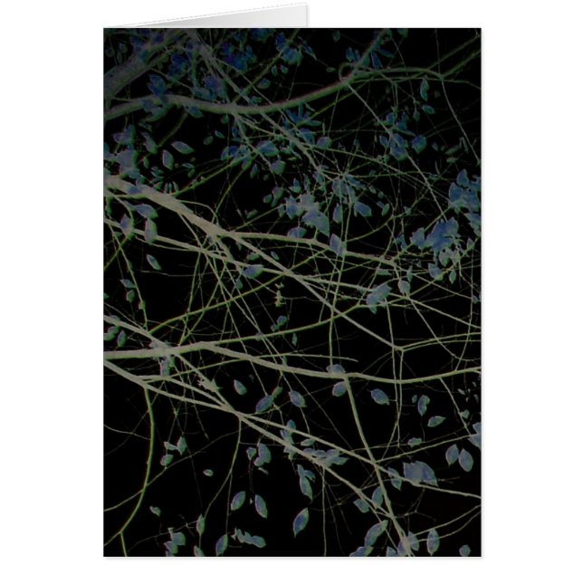 Blue Leaves on Black (Front)