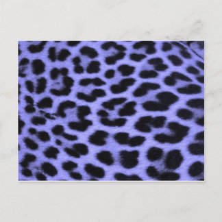 Blue Leopard print background Postcard