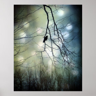 Blue Light Poster