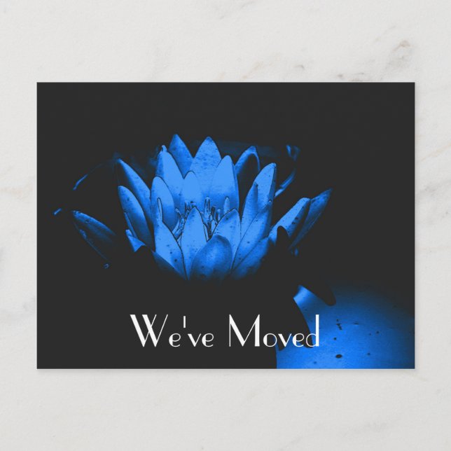 Blue Lily New Address Floral Postcard (Front)