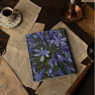 Blue Lily of the Nile Agapanthus Floral Notebook