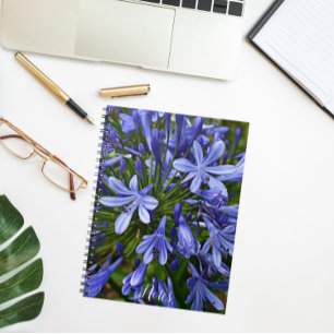 Blue Lily of the Nile Agapanthus Floral Notebook
