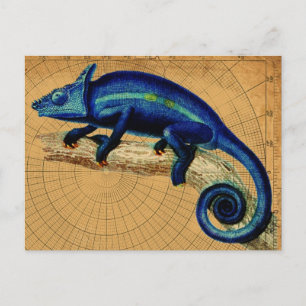 Blue Lizard Postcard