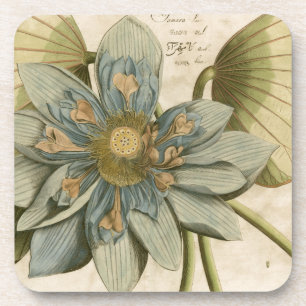 Blue Lotus Flower on Tan Background with Writing Coaster