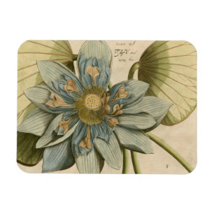 Blue Lotus Flower on Tan Background with Writing Magnet