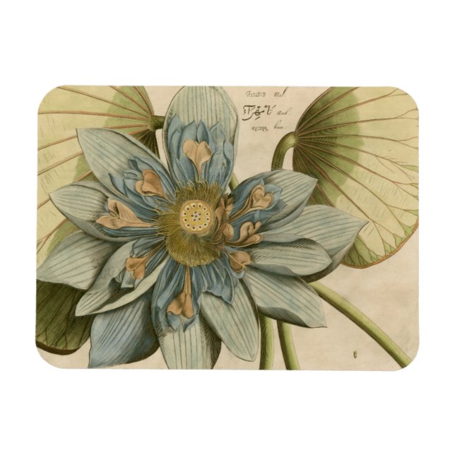 Blue Lotus Flower on Tan Background with Writing Magnet (Horizontal)