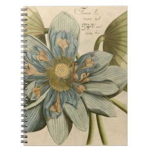 Blue Lotus Flower on Tan Background with Writing Notebook
