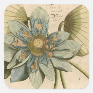 Blue Lotus Flower on Tan Background with Writing Square Sticker